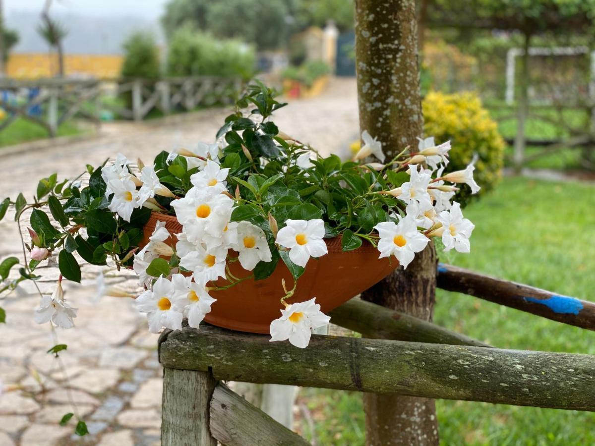 Olho Marinho Charm Azenha Dobidos Farm 빌라 외부 사진